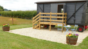 Elms Farm